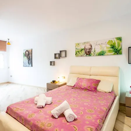 Casa David By